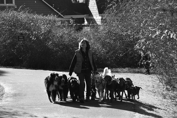 Welche Strategien nutzen Tiere um andere Tiere zu t√§uschen?